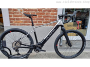 Olympia Sled E-Bike Gravel