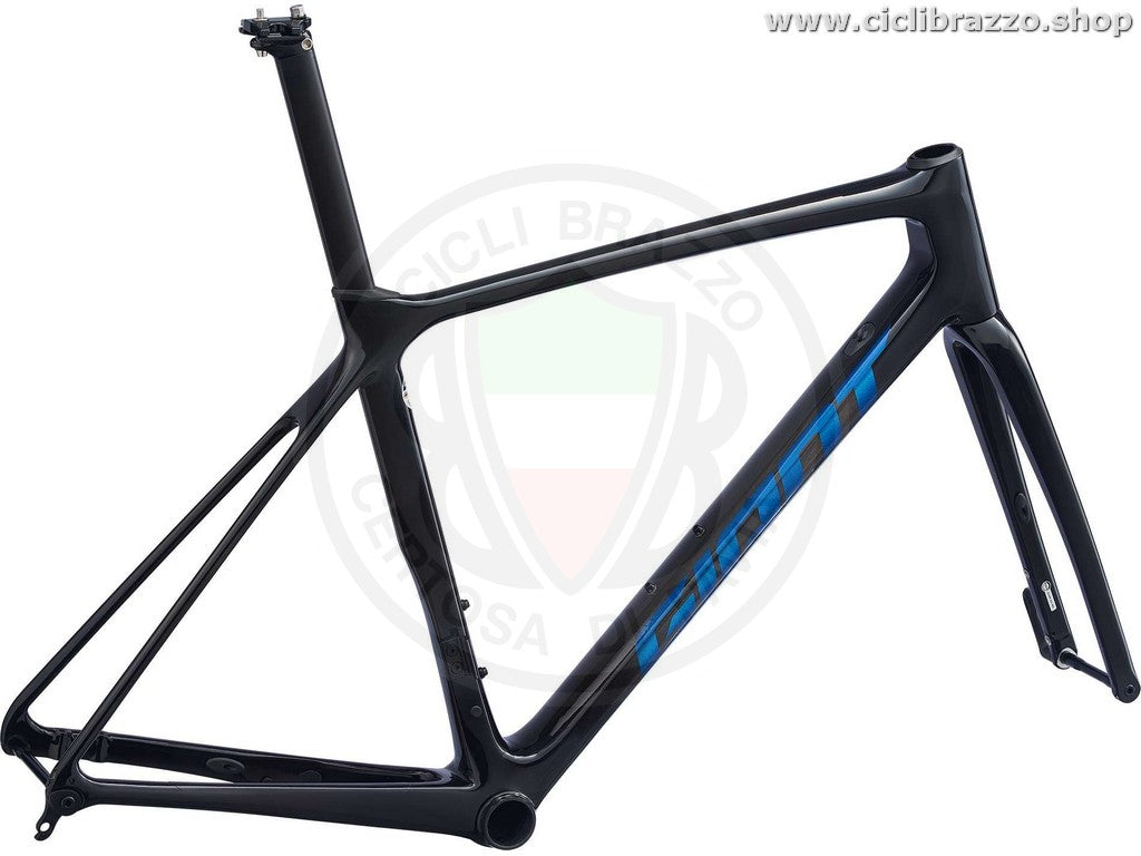 Giant tcr advanced pro disc frameset 2021