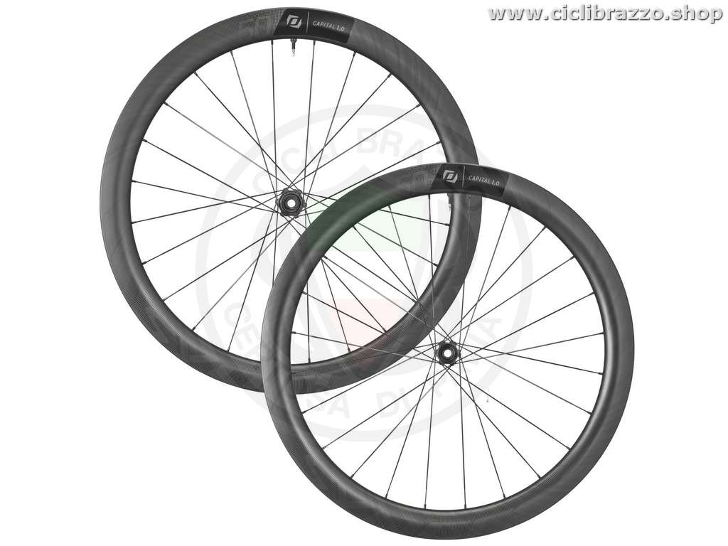 WHEELS SYNCROS CAPITAL 50 DISC