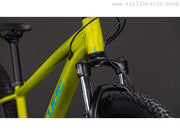 CUBE ACID 260 DISC - 2027