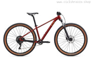 Liv Tempt 2 29"