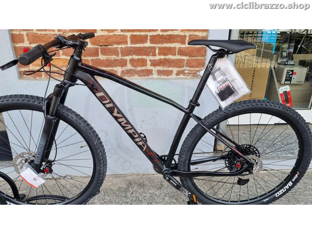 olympia fahrrad kaufen Olympia DRAKE 29 RACE SXE