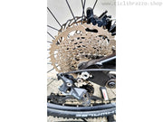 eBike OLYMPIA EX900 TRAIL - USATO