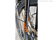 eBike OLYMPIA EX900 TRAIL - USATO