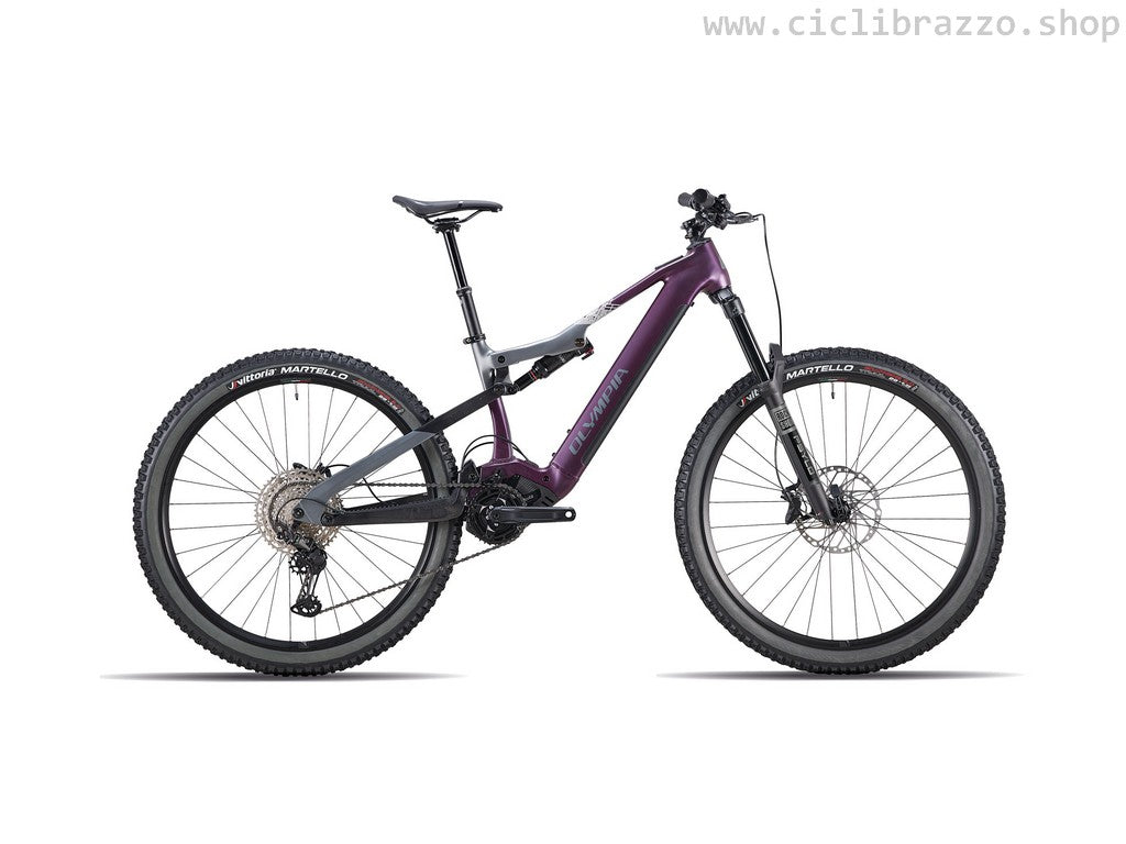 Bicicletta Mtb Mountain Bike Olympia Hi Tech Olympia HYSAK