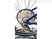 TREK Procaliber 9.6 - USATO