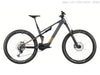 WHISTLE AXR C6.6