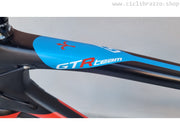 WILIER GTR TEAM - USATO