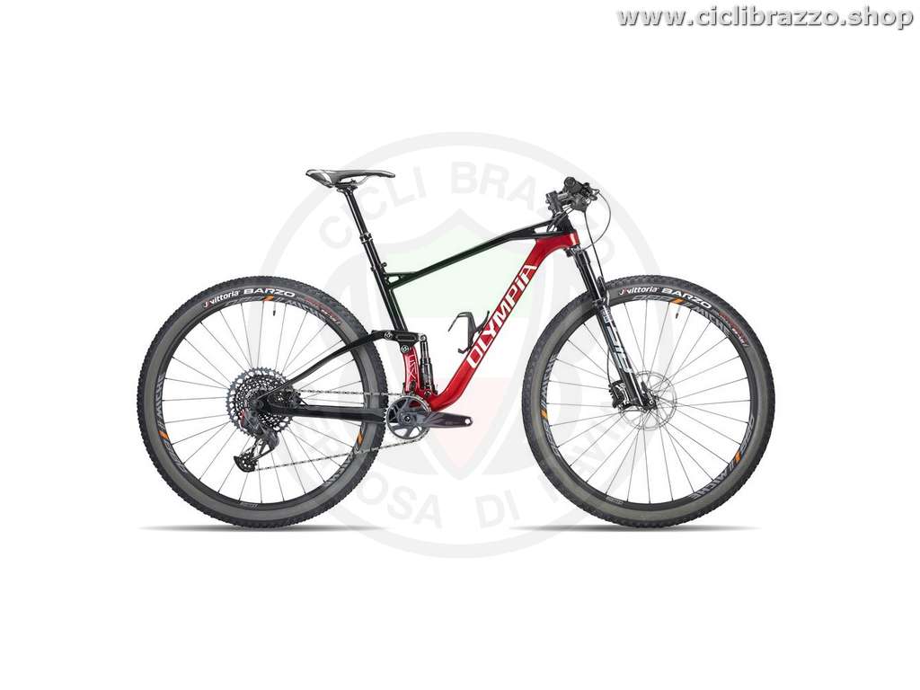 MTB 29 Full Olympia F1-X Team 2s
