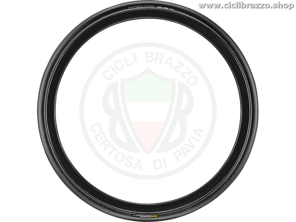 TUBELESS GIANT GAVIA FONDO1