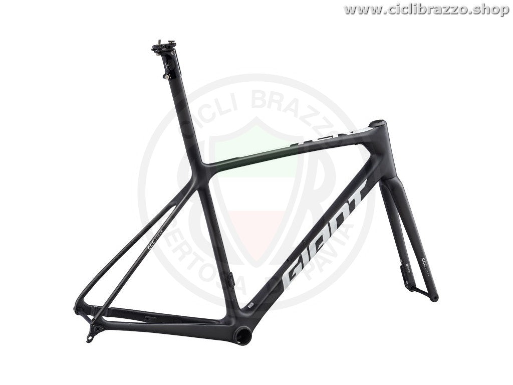 Giant tcr advanced sl team disc frameset 2020