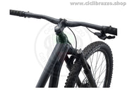 Giant Stance 29 2 - 2021 - CicliBrazzo.Shop