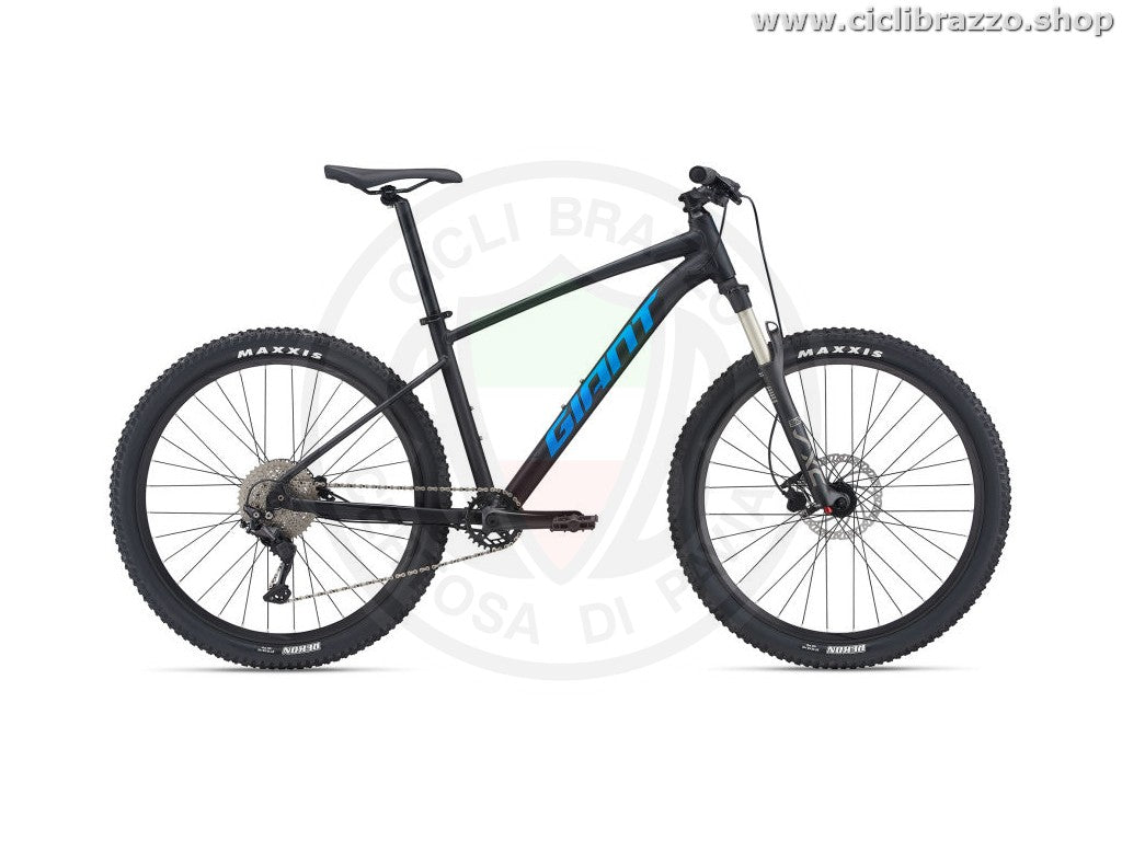Giant TALON 1 29 2021
