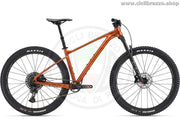 GIANT FATHOM 29 1 - 2022 - CicliBrazzo.Shop