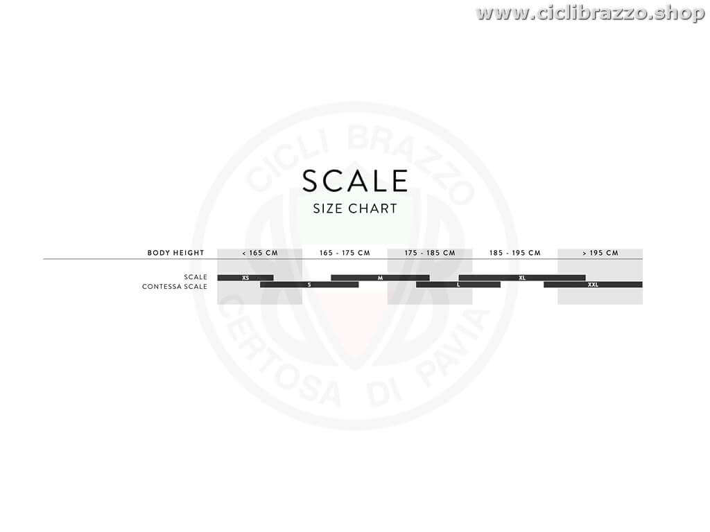 SCOTT Scale 940