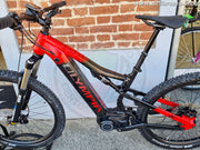 OLYMPIA EBIKE EX900