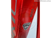 OLYMPIA EBIKE EX900 TRAIL 