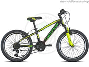 TORPADO TIGRE – T625 - CicliBrazzo.Shop